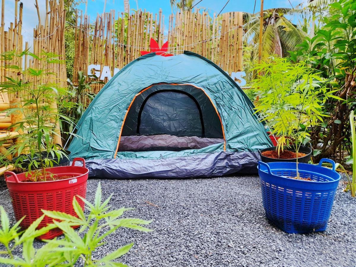 Ganja Gardens Camping Ban Nua Exterior foto